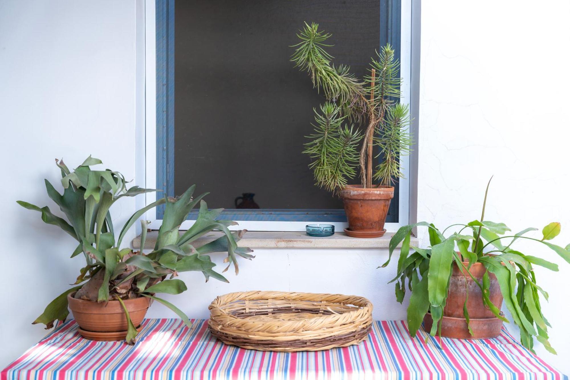 Ananke Home Nicosia Ngoại thất bức ảnh